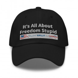 3) It's All About Freedom Stupid - Dad hat